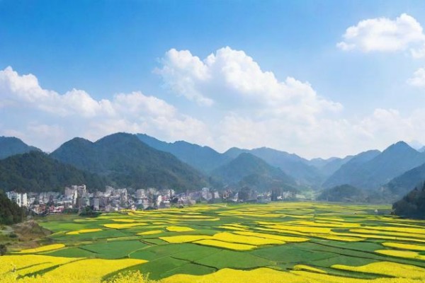 4月2日是什么星座