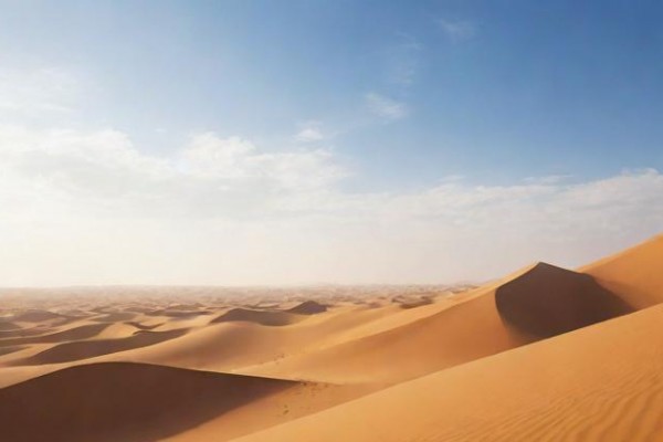 農(nóng)歷十一月二十一日是什么星座(農(nóng)歷十一月二十一日是什么星座啊)