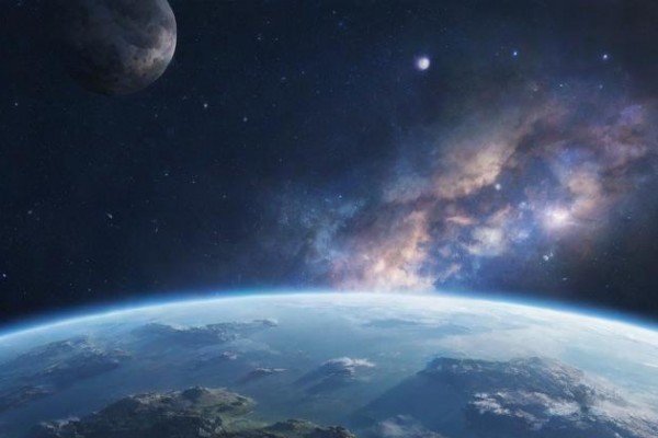 月亮星座猫咪：灵动的肖像解读