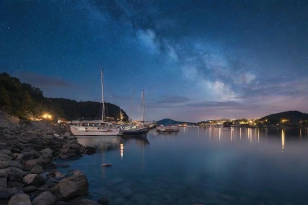 十二星座花园：如梦似幻的花海震撼眼球