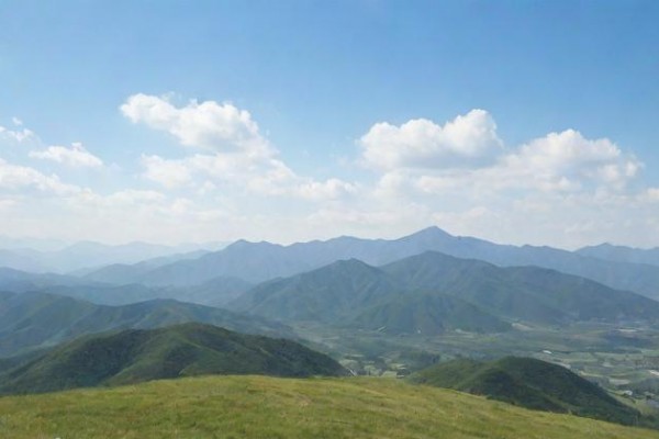 狮子座最怕什么动物(狮子座最怕什么东西动物)