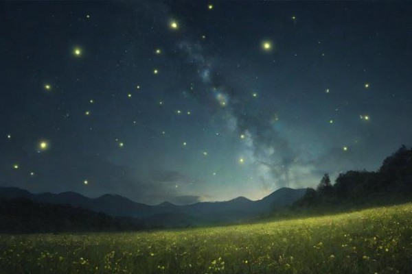 12星座高考多少分：傲嬌的獅子好高騖遠