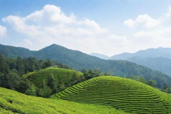 星座的熱戀期長短【修飾】