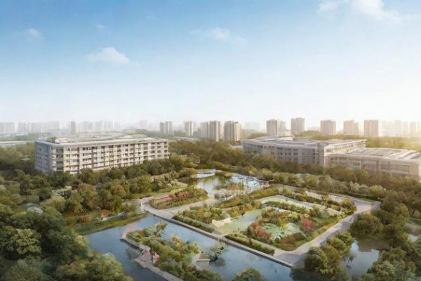 12.23是什么星座：神秘、執著、獨立力量